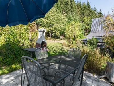 Apartment Gemütliche Wohnung in der Nähe des Skigebiets - Outdoor photo 12