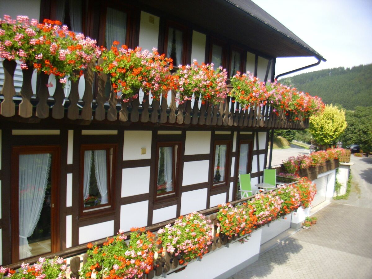 Apartment Wohnung in Schmallenberg mit Garten - Outdoor photo 4