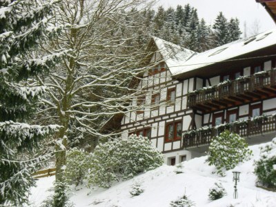 Apartment Wohnung in Schmallenberg mit Garten - Apartment