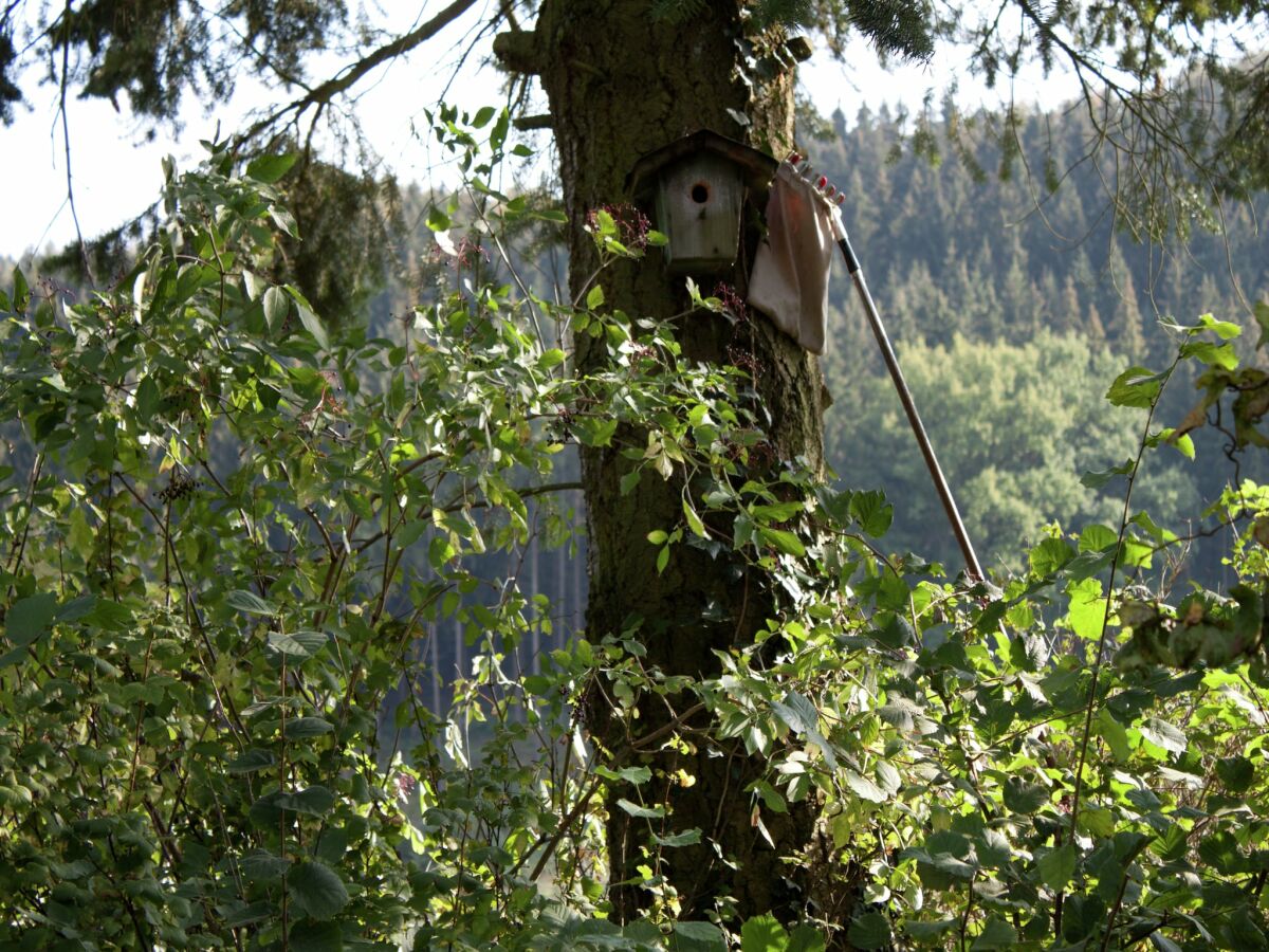 Apartment Wohnung in Sauerland nahe Fluss und Parks - Outdoor photo 3