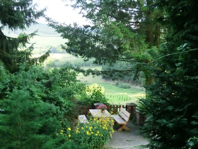 Apartment Wohnung in Sauerland nahe Fluss und Parks - Outdoor photo 13