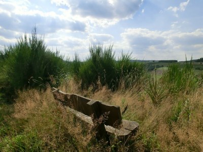 Apartment Wohnung in Sauerland nahe Fluss und Parks - Environment photo 25