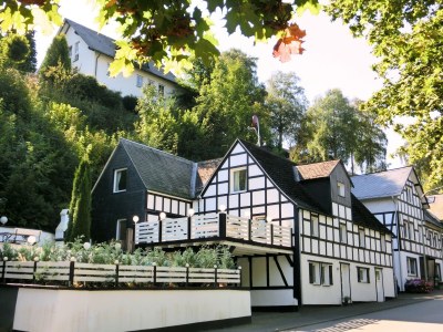 Apartment Panoramic Stay, Schmallenberg - Outdoor photo 9