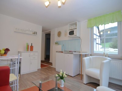 Apartment Ferienhaus in Sauerland nahe Winterberg Skifahren - Features photo 18