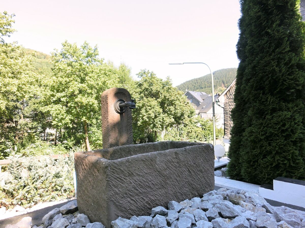 Apartment Ferienwohnung in der Nähe des Skigebietes - Outdoor photo 4