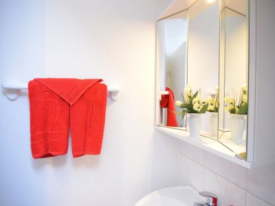 Apartment Ferienhaus Schmallenberg nahe Skibus - Features photo 22