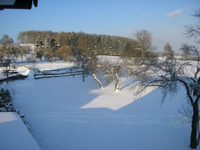 Apartment Silbecke Forest View Apartment - Outdoor photo 11