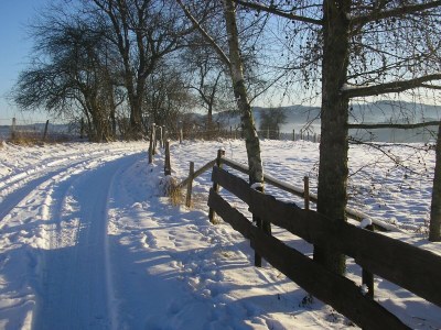 Apartment Silbecke Forest View Apartment - Environment photo 35