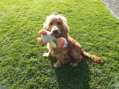 Apartment Silbecke Forest View Apartment - Outdoor photo 40