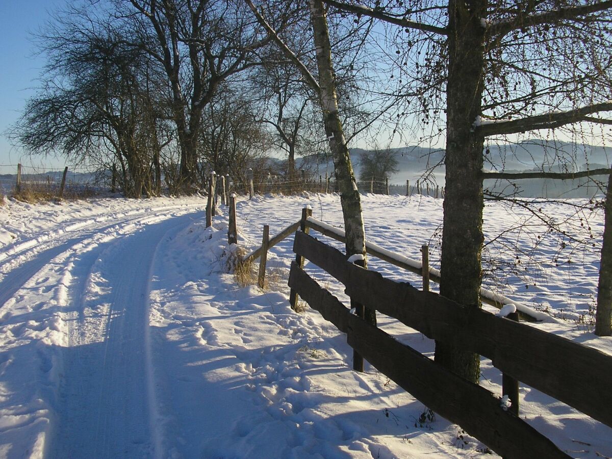 Apartment Wohnung in Silbecke mit Garten - Outdoor photo 3