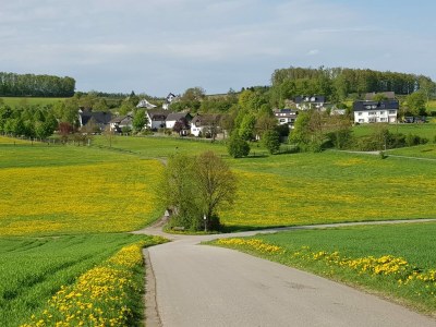 Apartment Wohnung in Silbecke mit Garten - Environment photo 15