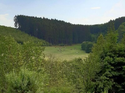 Apartment Wohnung in Silbecke mit Garten - Environment photo 20