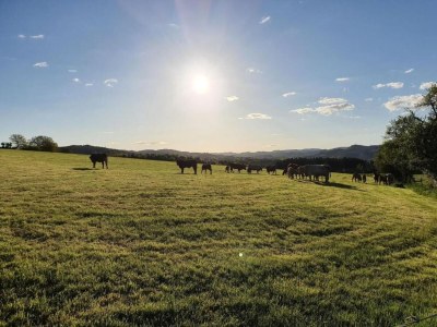 Apartment Wohnung in Silbecke mit Garten - Environment photo 25