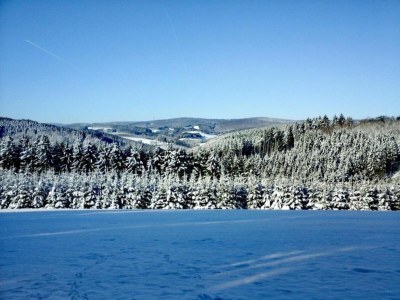 Apartment Wohnung in Silbecke mit Garten - Environment photo 26