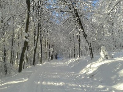 Apartment Wohnung in Silbecke mit Garten - Environment photo 27