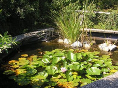 Apartment Wohnung in Silbecke mit Garten - Outdoor photo 30