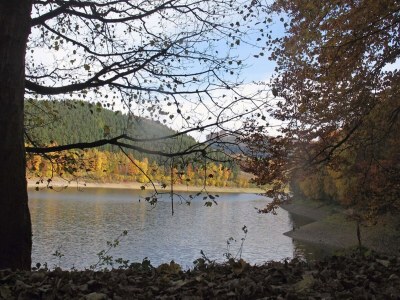 Holiday house Holiday home in Mielinghausen near ski area - Environment photo 21