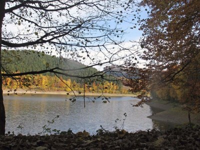 Holiday house Holiday home in Mielinghausen near ski area - Environment photo 25