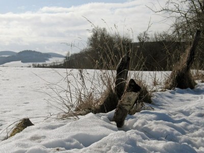 Holiday house Holiday home in Mielinghausen near ski area - Environment photo 33