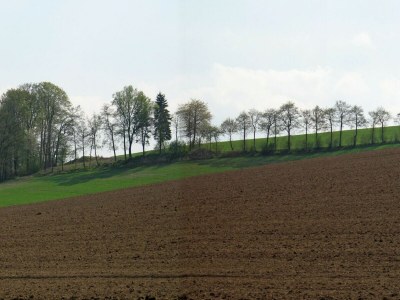 Holiday house Holiday home in Mielinghausen near ski area - Environment photo 34