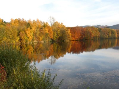 Holiday house Holiday home in Mielinghausen near ski area - Environment photo 38