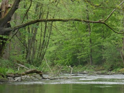Apartment Ferienwohnung in Wehrstapel - Environment photo 31