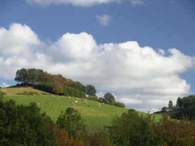 Apartment Wohnung nahe dem Skigebiet in Wehrstapel - Environment photo 25