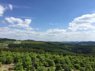 Apartment Wohnung nahe dem Skigebiet in Wehrstapel - Environment photo 30