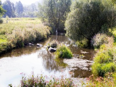 Holiday house Furnished Bungalow With Peaceful Neighbourhood - Environment photo 28