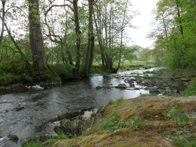 Holiday house Furnished Bungalow With Peaceful Neighbourhood - Environment photo 32