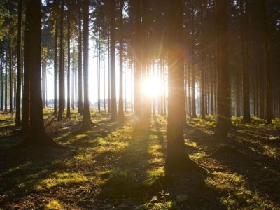 Holiday house Furnished Bungalow With Peaceful Neighbourhood - Environment photo 38