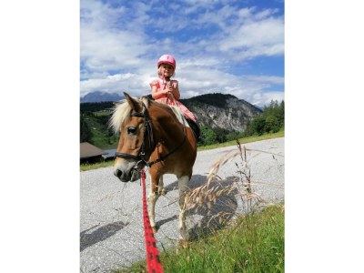 Farmhouse Erblehenhof - Environment photo 31