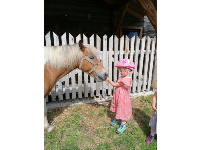 Farmhouse Erblehenhof - Environment photo 36