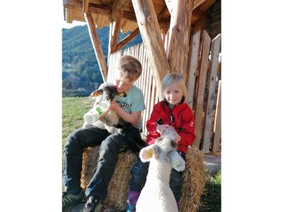 Farmhouse Erblehenhof - Environment photo 37