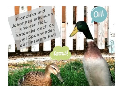 Farmhouse Erblehenhof - Environment photo 38