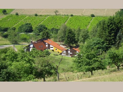 Holiday house Charmantes Ferienhaus in Skigebietsnaehe - Environment photo 32