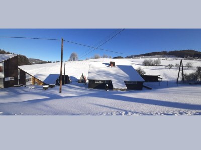 Holiday house Charmantes Ferienhaus in Skigebietsnaehe - Environment photo 33