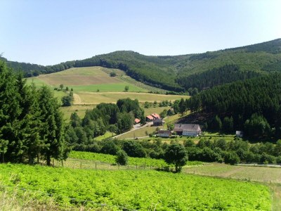 Holiday house Ferienhaus mit herrlicher Aussicht - Environment photo 37