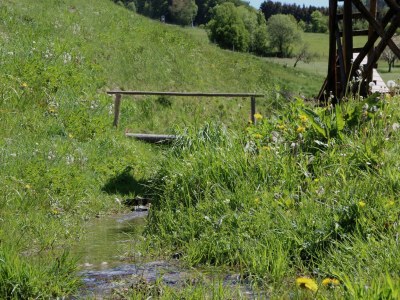 Holiday house Geraeumiges Apartment mit privater Terrasse - Environment photo 33