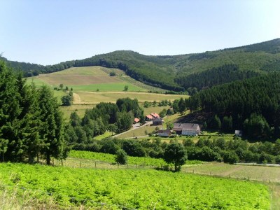 Holiday house Geraeumiges Apartment mit privater Terrasse - Environment photo 36