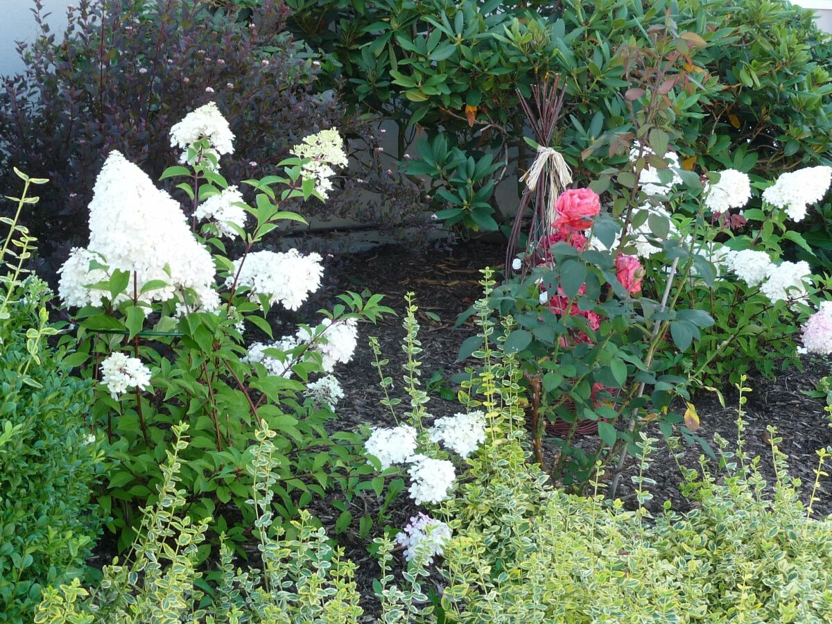 Apartment Anmutige Wohnung in Velmede mit Garten - Outdoor photo 5