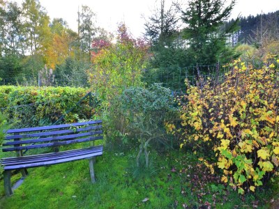 Apartment Anmutige Wohnung in Velmede mit Garten - Outdoor photo 11