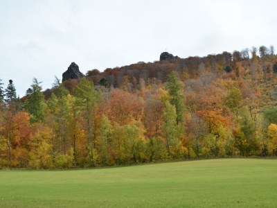 Apartment Anmutige Wohnung in Velmede mit Garten - Environment photo 26