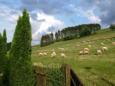 Apartment Anmutige Wohnung in Velmede mit Garten - Environment photo 27