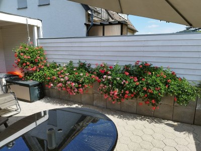 Apartment Anmutige Wohnung in Velmede mit Garten - Outdoor photo 40