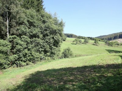 Holiday house Charmantes Ferienhaus in Skigebietsnähe - Outdoor photo 20