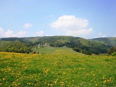 Holiday house Group Getaway in Brilon-Wald - Environment photo 21