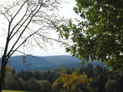 Holiday house Group Getaway in Brilon-Wald - Environment photo 24