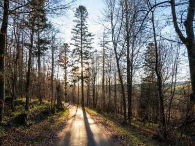 Holiday house Group Getaway in Brilon-Wald - Environment photo 27