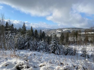 Holiday house Group Getaway in Brilon-Wald - Environment photo 29